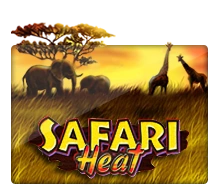 Safari Heat - HIGHBET33