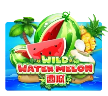 Wild Watermelon - HIGHBET33