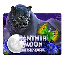 Panther Moon - HIGHBET33
